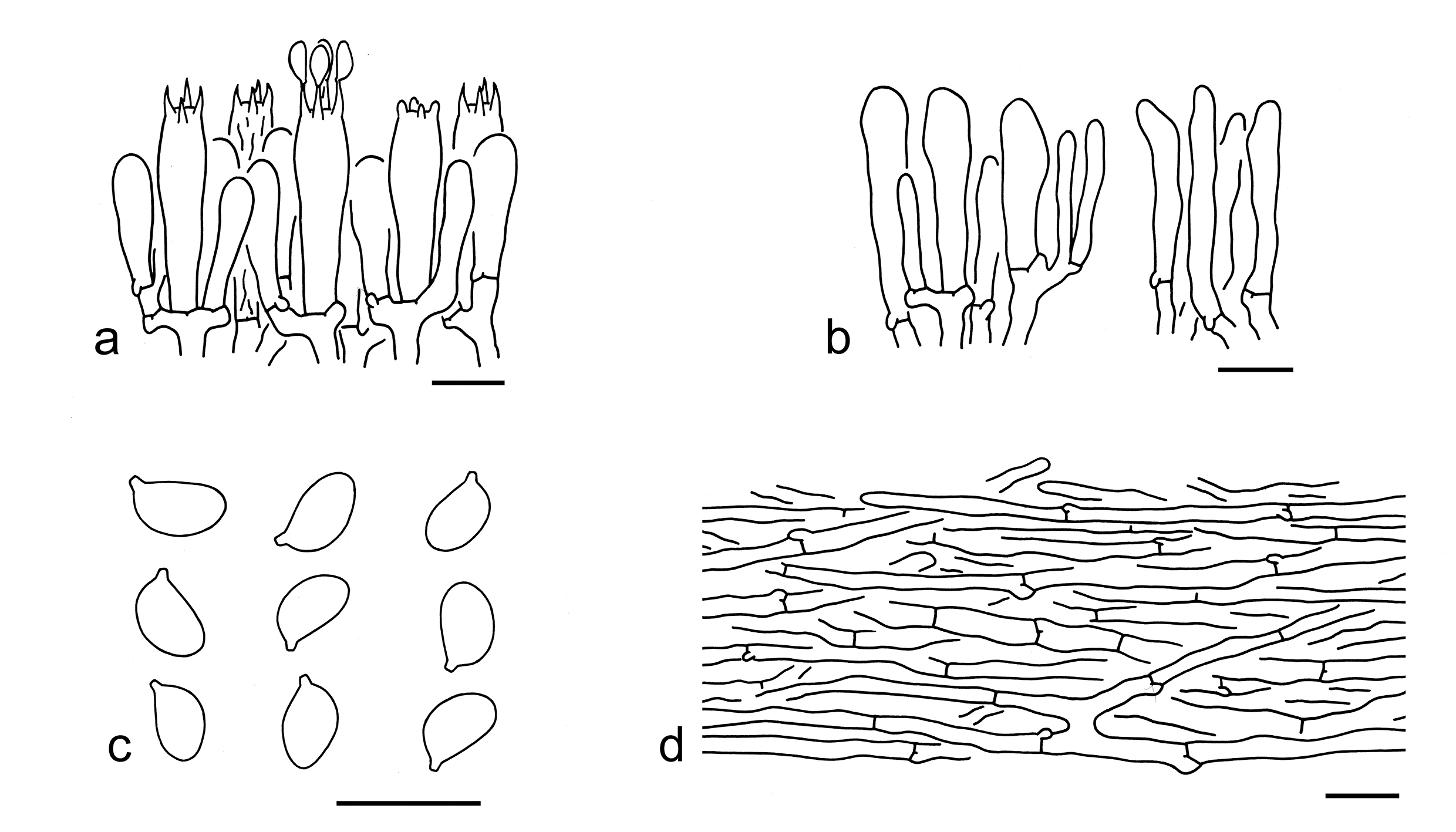 Figure 82